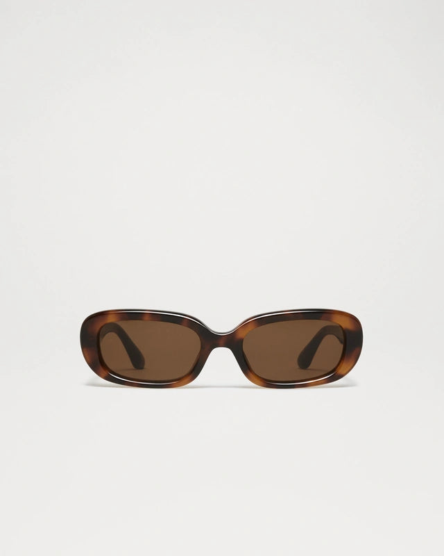 Sunglasses 12 | Tortoise