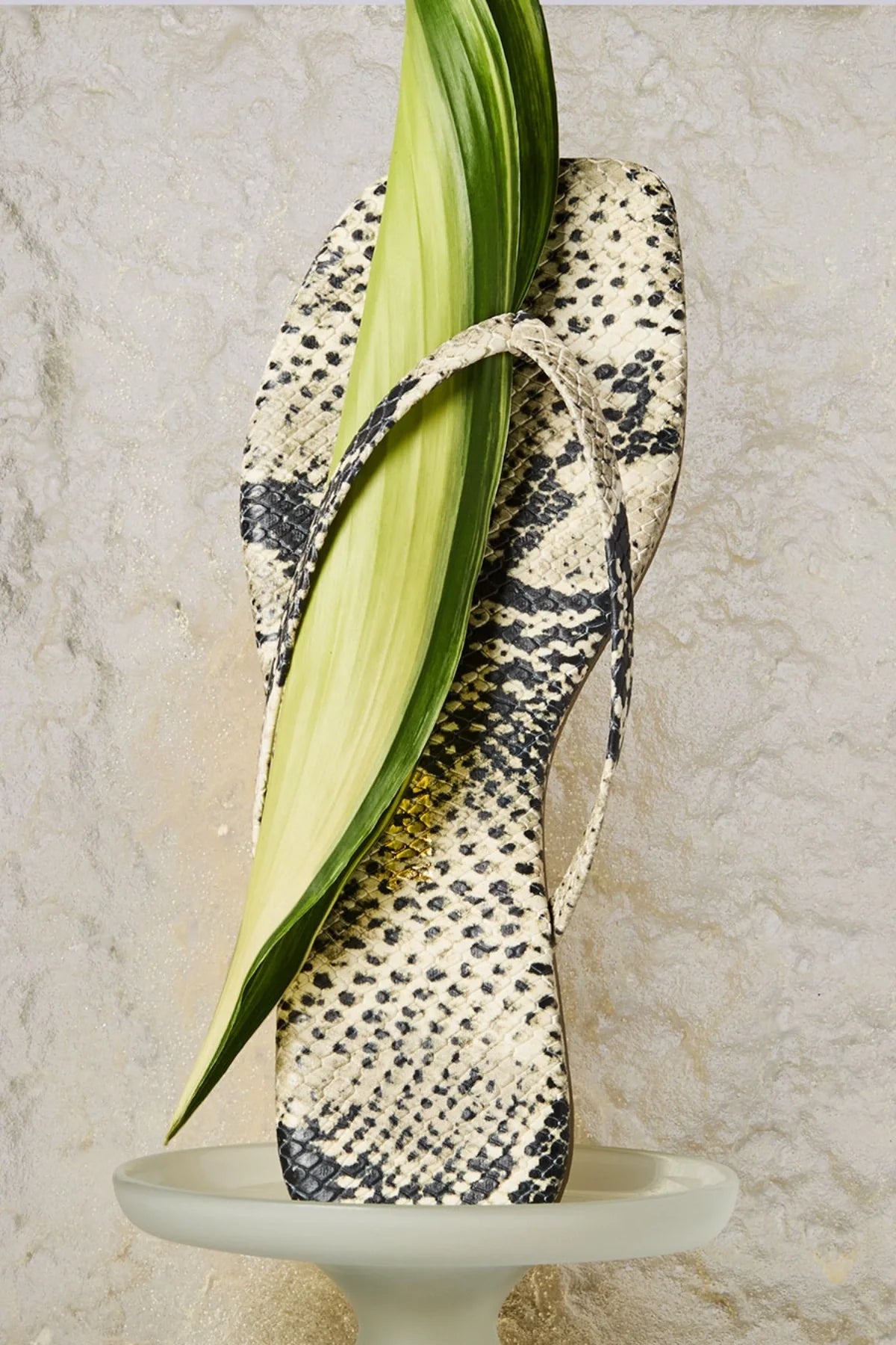 Square Toe Exotics Sandsnake | Serpent De Sable