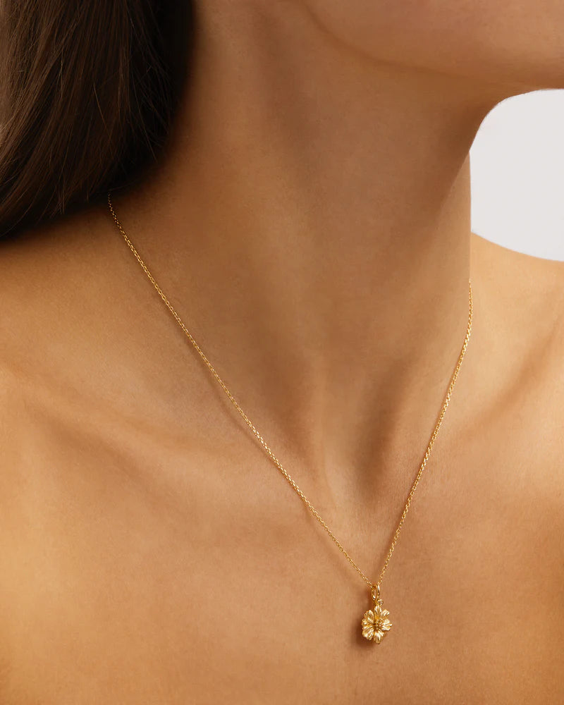 18k Gold Vermeil Birth Flower Necklace - Cosmos October