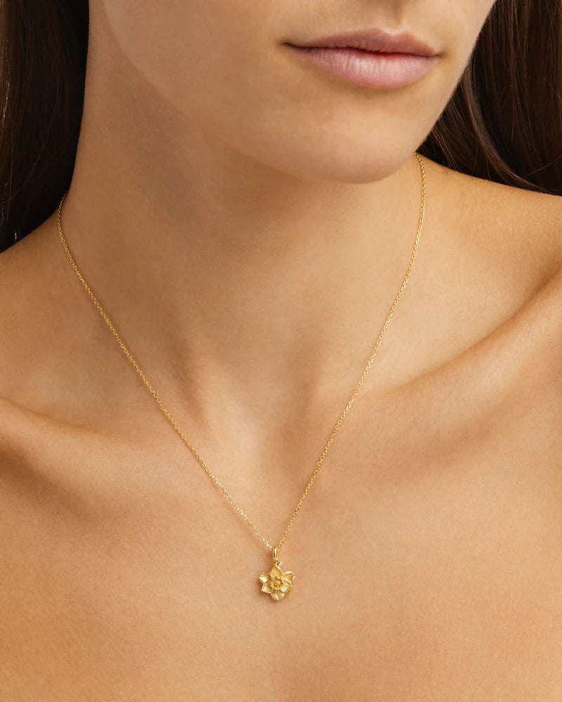18k Gold Vermeil Birth Flower Necklace - Narcissus December