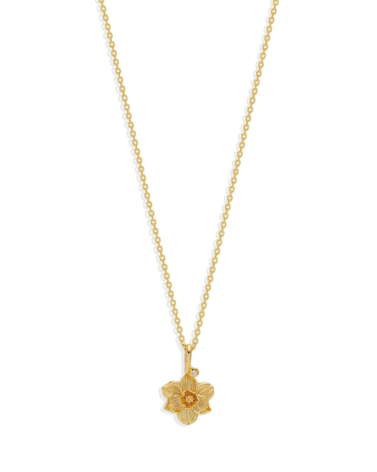 18k Gold Vermeil Birth Flower Necklace - Narcissus December