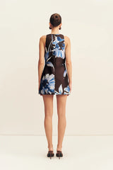 Elsa Shift Mini Dress | Espresso/Blue
