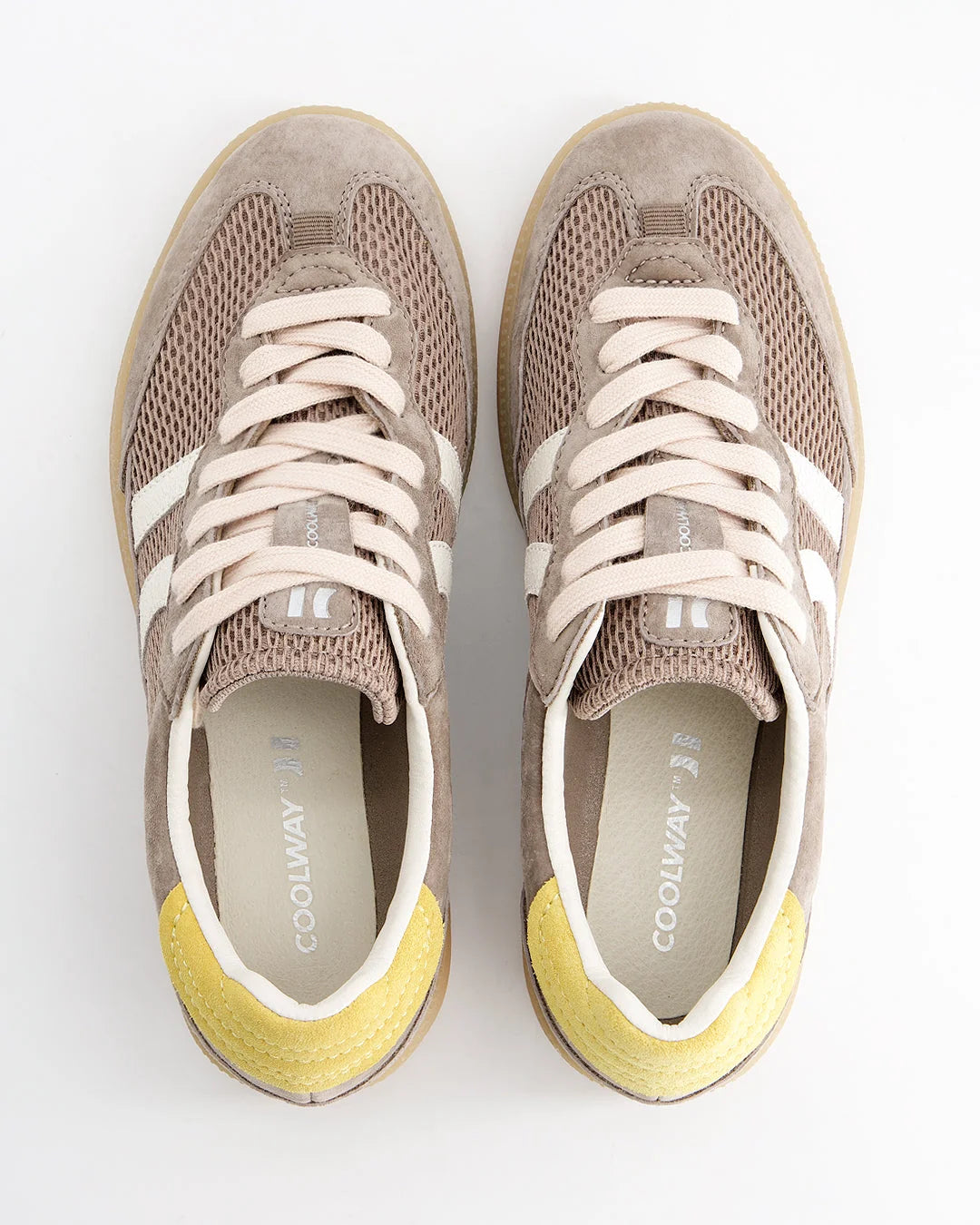 Baresi | Urban Terra