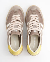 Baresi | Urban Terra