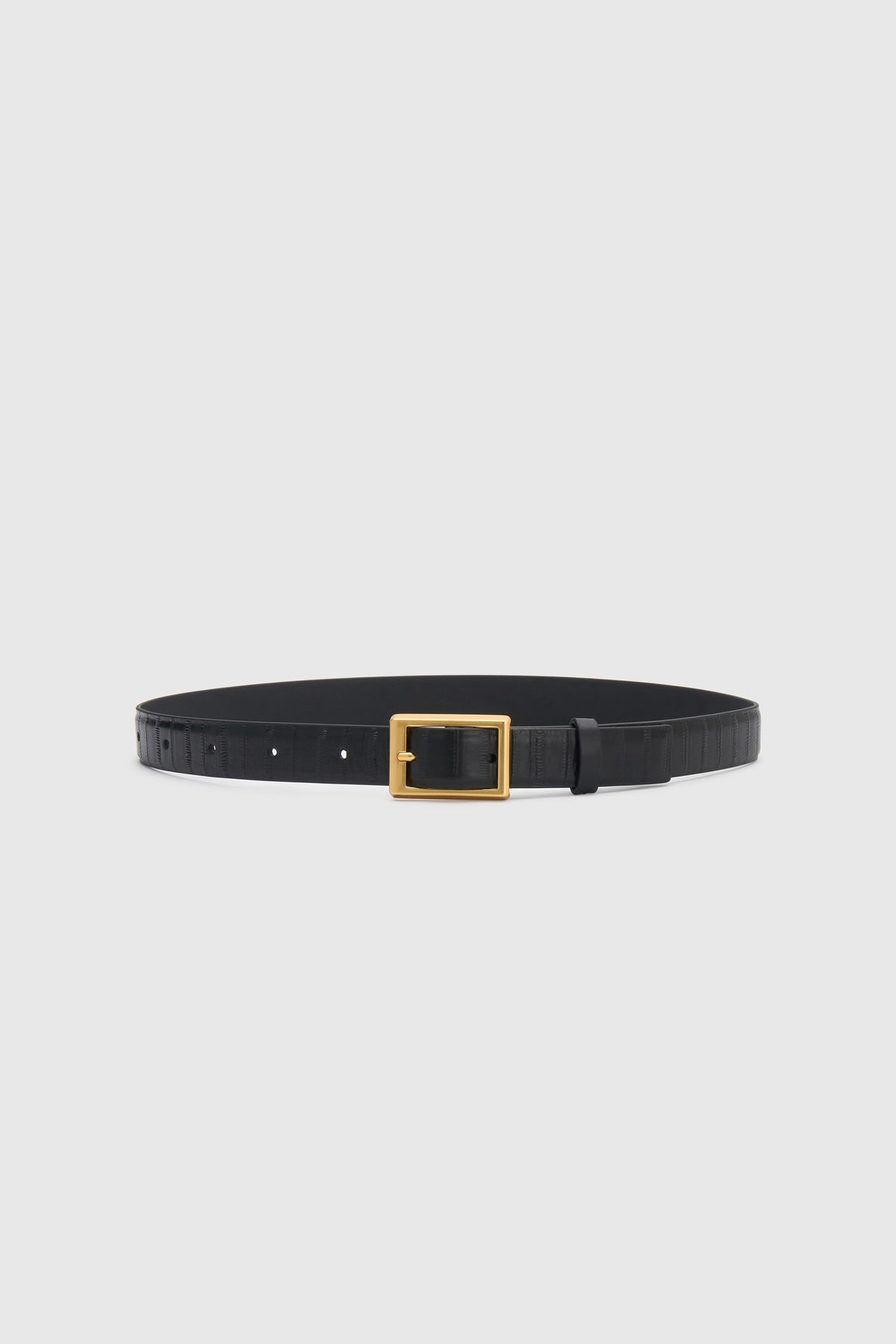 Sonny Eel Belt | Black
