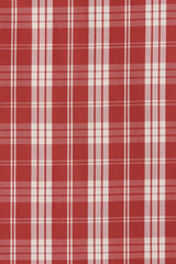 Belinha Mini Dress | Ines Check Terra Rosso