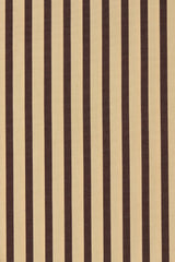Clemente Short Carmen Stripe | Sand Cedar