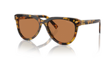 Miu Miu Havana Honey with Dark Brown Sunglasses OMU 12ZFS