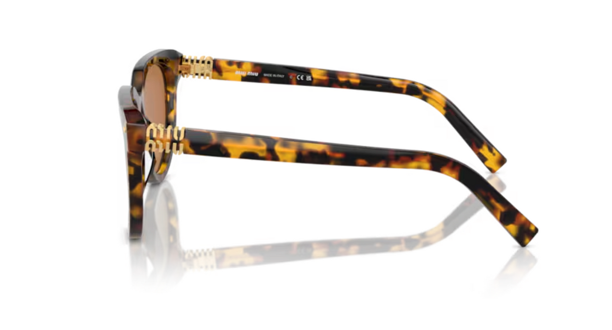 Miu Miu Havana Honey with Dark Brown Sunglasses OMU 12ZFS