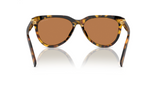 Miu Miu Havana Honey with Dark Brown Sunglasses OMU 12ZFS