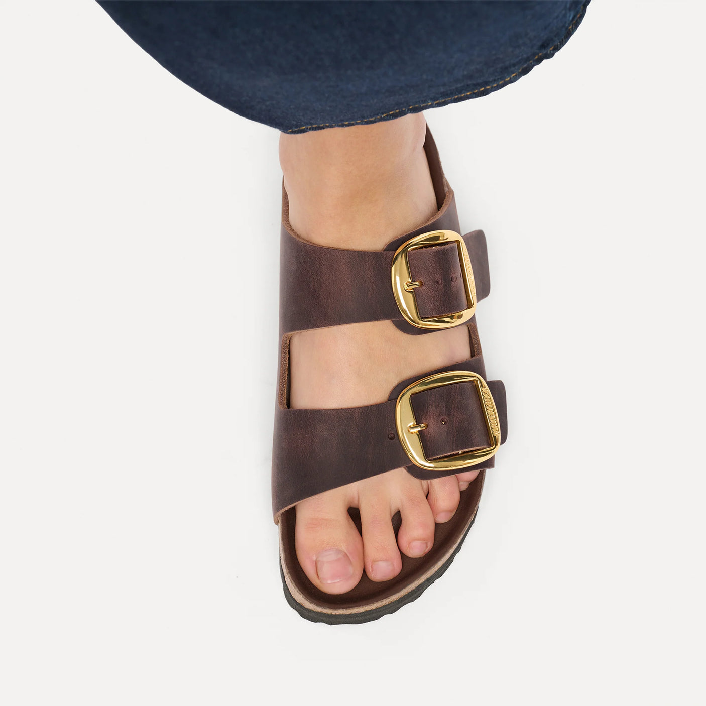 Arizona Big Buckle Habana Oiled Leather Regular