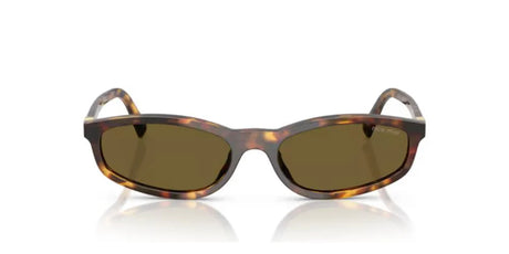 Miu Miu Regard Sunglasses OMUA06S Honey Havana